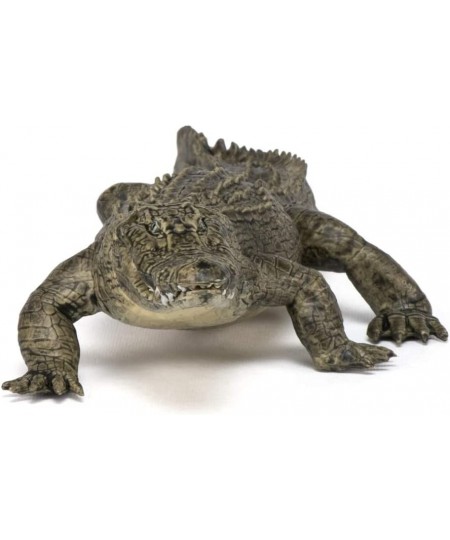 Hand-Painted - Figurine -Wild Animal Kingdom - Alligator -50254 -Collectible - for Children - Suitable for Boys and Girls- fr...