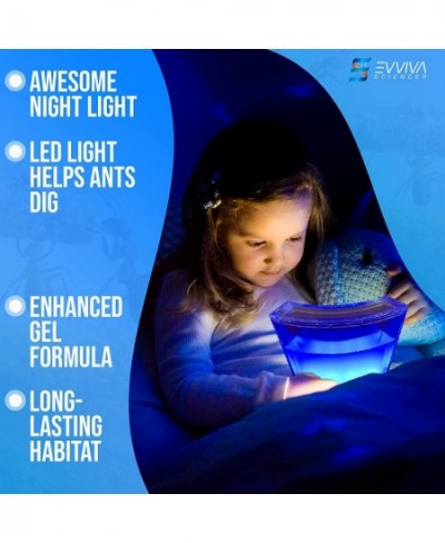 Evviva Ant Habitat W/ LED Light. Enjoy A Magnificent Habitat. Great for Kids & Adults. Evviva Ant Ecosystem W/ Enhanced Blue ...