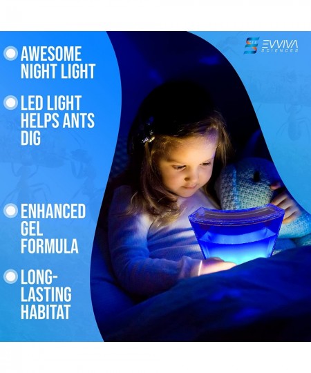 Evviva Ant Habitat W/ LED Light. Enjoy A Magnificent Habitat. Great for Kids & Adults. Evviva Ant Ecosystem W/ Enhanced Blue ...