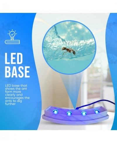 Evviva Ant Habitat W/ LED Light. Enjoy A Magnificent Habitat. Great for Kids & Adults. Evviva Ant Ecosystem W/ Enhanced Blue ...