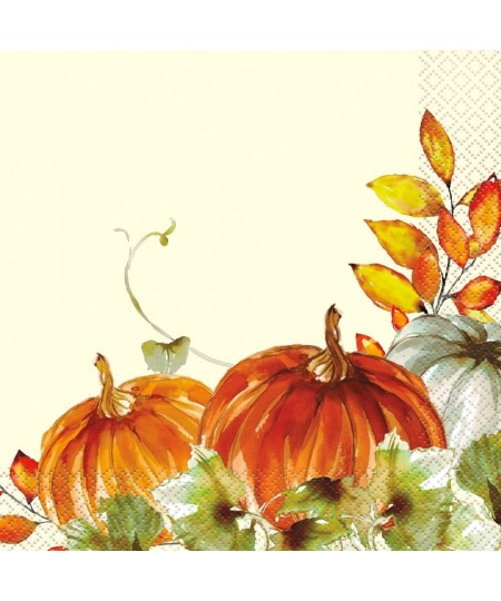 Watercolor Fall Pumpkins Luncheon Napkins | 6.5" x 6.5" | 16 Pcs $14.07 - Kids' Party Tableware