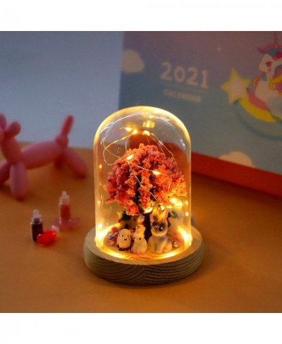 DIY Night Light Kit for Girls Make Your Own Magic Night Light DIY Craft Kit for Kids Arts and Crafts Nightlight Project Novel...