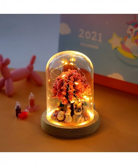 DIY Night Light Kit for Girls Make Your Own Magic Night Light DIY Craft Kit for Kids Arts and Crafts Nightlight Project Novel...