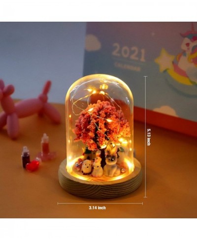 DIY Night Light Kit for Girls Make Your Own Magic Night Light DIY Craft Kit for Kids Arts and Crafts Nightlight Project Novel...