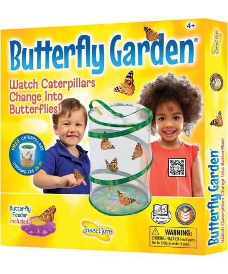 Butterfly Growing Kit - With Voucher to Redeem Caterpillars Later $42.82 - Habitat Science Kits