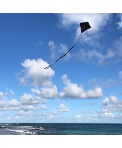 Black Diamond Kite 30 Inch Diamond Kite 2996 $19.13 - Kites & Wind Spinners