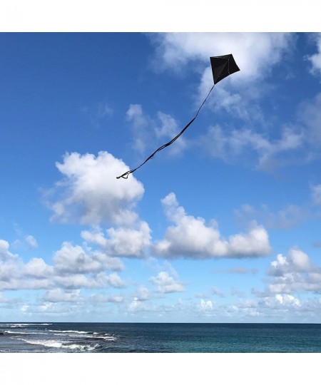 Black Diamond Kite 30 Inch Diamond Kite 2996 $19.13 - Kites & Wind Spinners