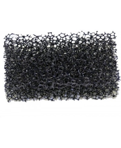 Stipple Sponge 1" X 2" X 3/4" Single $14.97 - Kids' Dress-Up Accessories