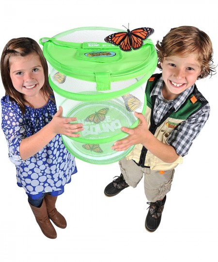 Butterfly Growing Habitat Kit - With Discount Voucher to Redeem Live Caterpillars for Home or School Use - Green Pop-Up Cage ...