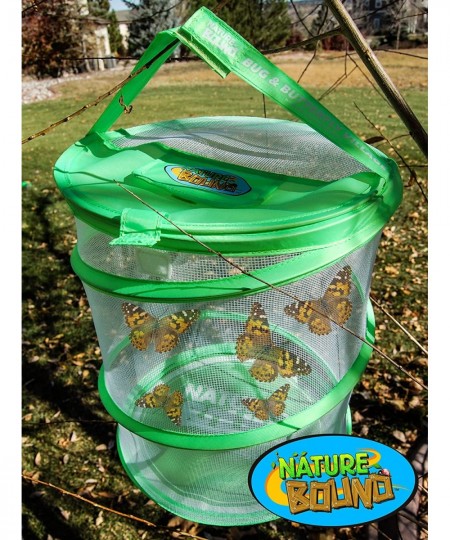 Butterfly Growing Habitat Kit - With Discount Voucher to Redeem Live Caterpillars for Home or School Use - Green Pop-Up Cage ...