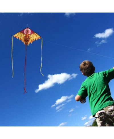 Dragon Kite for Kids Adults Easy to Fly Best Delta Beach Kite 300ft Kite String $31.22 - Kites & Wind Spinners