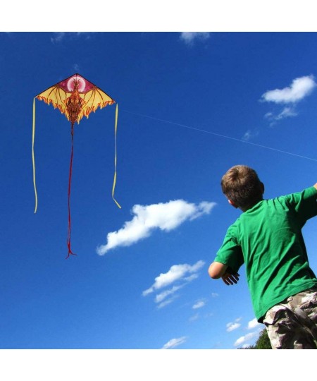 Dragon Kite for Kids Adults Easy to Fly Best Delta Beach Kite 300ft Kite String $31.22 - Kites & Wind Spinners