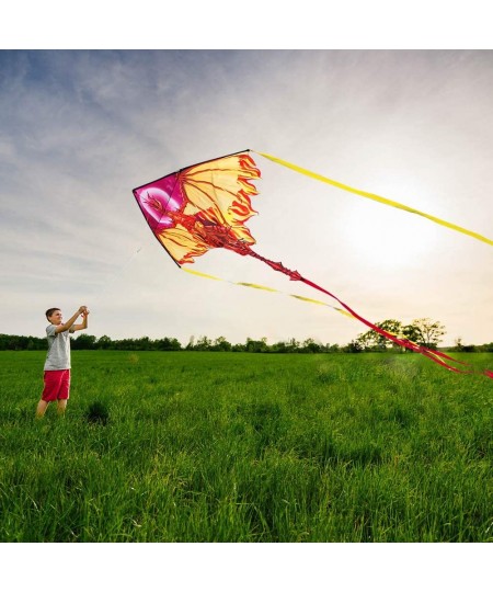 Dragon Kite for Kids Adults Easy to Fly Best Delta Beach Kite 300ft Kite String $31.22 - Kites & Wind Spinners