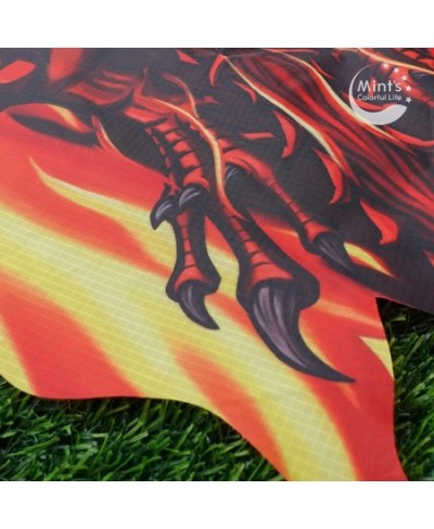 Dragon Kite for Kids Adults Easy to Fly Best Delta Beach Kite 300ft Kite String $31.22 - Kites & Wind Spinners