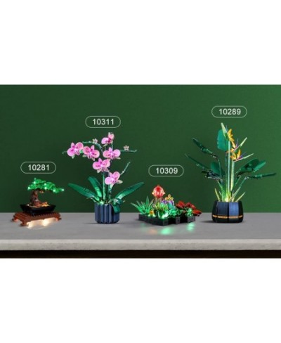 Light for Lego-10311 Orchid - Led Lighting Kit Compatible with Lego Building Blocks Model - NOT Included The Model Set $46.63...