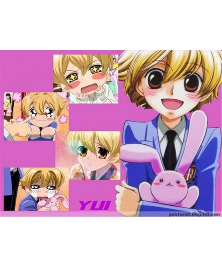 Ouran High School Host Club Pink Rabbit Plush Doll 16" Bun Rabbit of Haninoduka Mitsukuni $65.23 - Plush Figure Toys