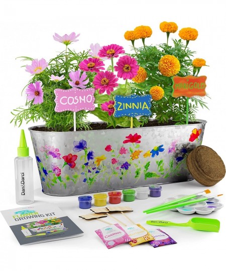 Paint & Plant Flower Craft Kit for Kids - Best Birthday Crafts Gifts for Girls & Boys Age 5 6 7 8-12 Year Old Girl Children G...