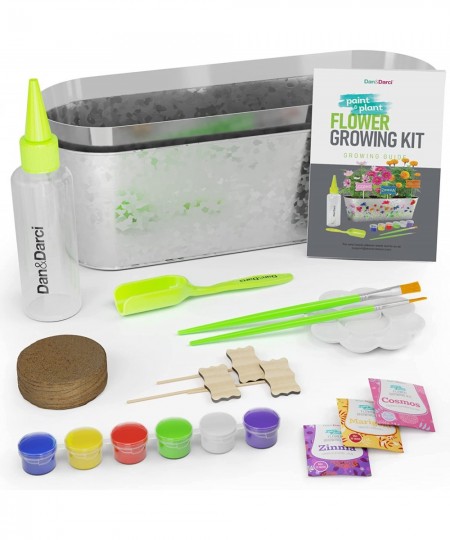 Paint & Plant Flower Craft Kit for Kids - Best Birthday Crafts Gifts for Girls & Boys Age 5 6 7 8-12 Year Old Girl Children G...