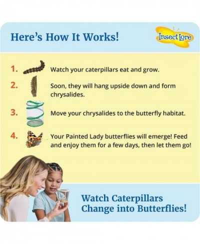 Butterfly Garden: Original Habitat and Live Cup of Caterpillars with STEM Butterfly Journal – Life Science & STEM Education –...