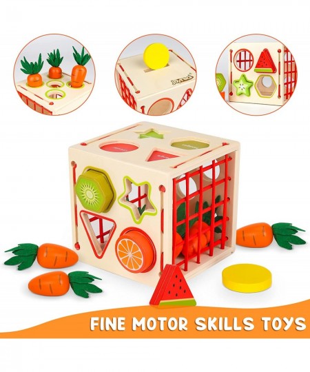 Wooden Montessori Toys for Toddlers Wood Shape Sorting Toys for Age 2 3 4 Year Old Toddler Learning Toys Gift for Boys Girls ...