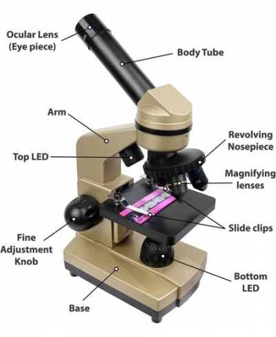 Microscope for Kids 3 Magnification Levels 40x 100x 400x Includes Slides Science Experiments & Accessories Portable Student M...