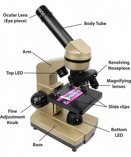 Microscope for Kids 3 Magnification Levels 40x 100x 400x Includes Slides Science Experiments & Accessories Portable Student M...