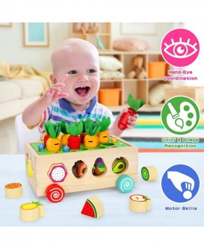 Wooden Montessori Toys for 1 2 3 Year Old Baby Girls Boys Wood Shape Sorter Toys Gifts for Toddlers Learning Fine Motor Skill...