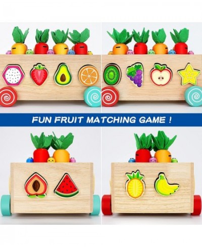 Wooden Montessori Toys for 1 2 3 Year Old Baby Girls Boys Wood Shape Sorter Toys Gifts for Toddlers Learning Fine Motor Skill...