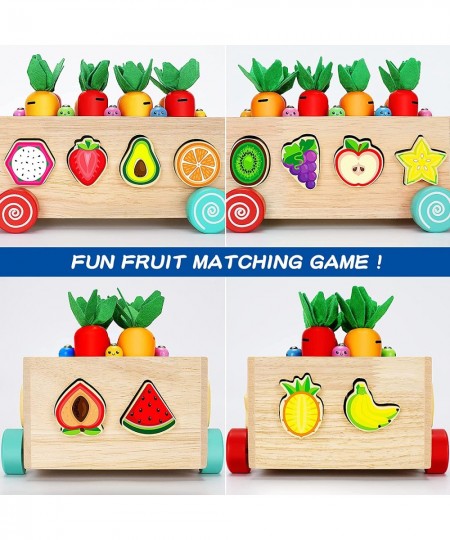 Wooden Montessori Toys for 1 2 3 Year Old Baby Girls Boys Wood Shape Sorter Toys Gifts for Toddlers Learning Fine Motor Skill...