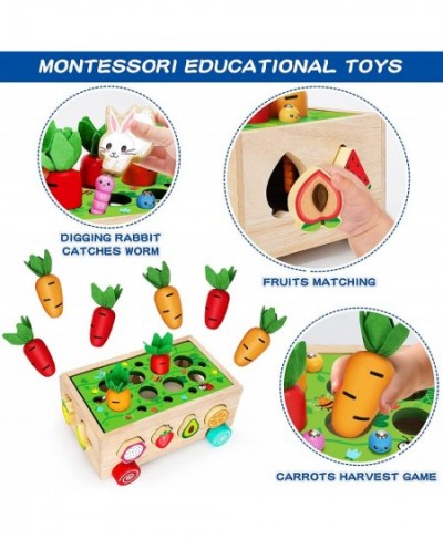 Wooden Montessori Toys for 1 2 3 Year Old Baby Girls Boys Wood Shape Sorter Toys Gifts for Toddlers Learning Fine Motor Skill...