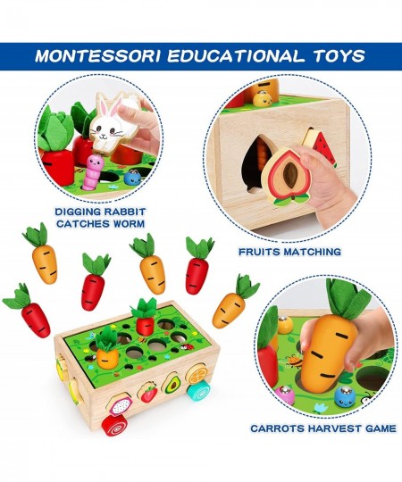 Wooden Montessori Toys for 1 2 3 Year Old Baby Girls Boys Wood Shape Sorter Toys Gifts for Toddlers Learning Fine Motor Skill...