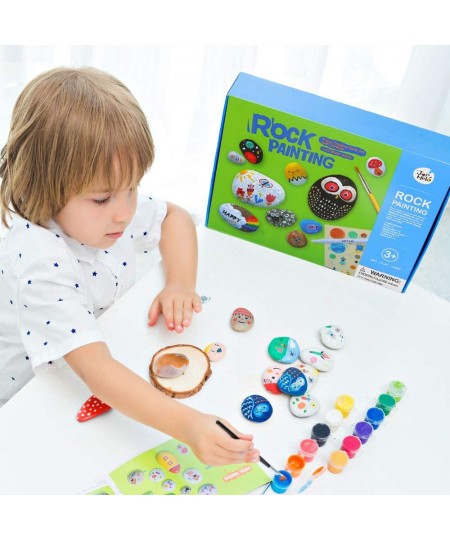 Rock Painting for Arts & Crafts 12 Non-Toxic Fun Colors 2 Brushes 10 Rocks to Inspire Creativity and More Great as Kids Gift ...