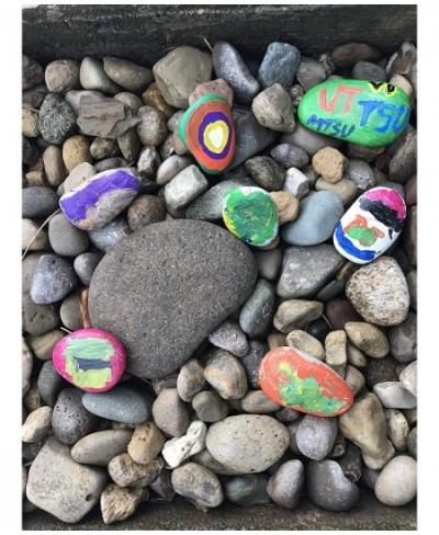 Rock Painting for Arts & Crafts 12 Non-Toxic Fun Colors 2 Brushes 10 Rocks to Inspire Creativity and More Great as Kids Gift ...