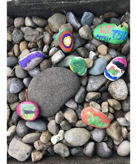 Rock Painting for Arts & Crafts 12 Non-Toxic Fun Colors 2 Brushes 10 Rocks to Inspire Creativity and More Great as Kids Gift ...