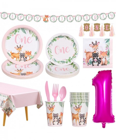 1st Birthday Plates and Napkin Sets for girl 24 Guests First Birthday Decorations for Girl Complete Pack Includes Wild One Pl...