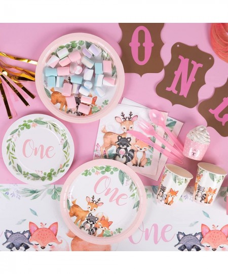 1st Birthday Plates and Napkin Sets for girl 24 Guests First Birthday Decorations for Girl Complete Pack Includes Wild One Pl...