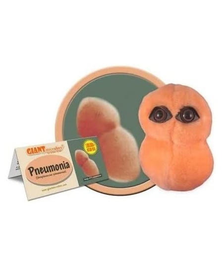 GIANTmicrobes Pneumonia Plush – Get Well Gift and Learning Science Tool for Friends Family Patients Students Doctors Nurses S...